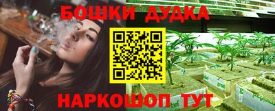 стафф Кандалакша