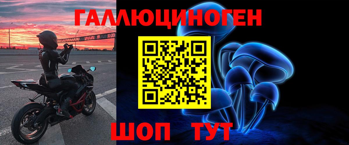 Кудымкар  Галлюциногенные грибы Psilocybine cubensis  Вход с VPN 